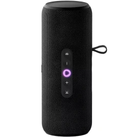 Портативная колонка Яндекс Станция Стрит с Алисой Черный (YNDX-00030BLK)