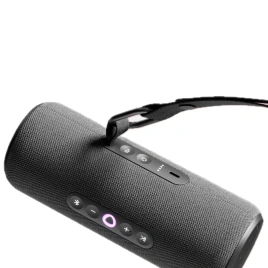 Портативная колонка Яндекс Станция Стрит с Алисой Черный (YNDX-00030BLK)