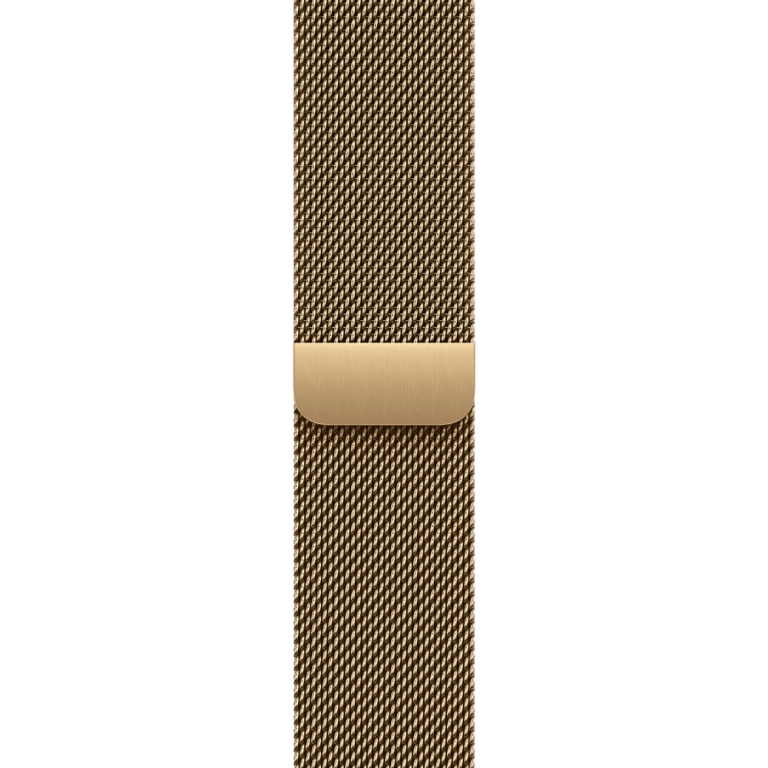 Смарт-часы Apple Watch Series 12 46mm Radiant Gold Titanium Case with Radiant Gold Milanese Loop M/L фото 2